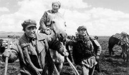 长征电视剧在线观看,穿越烽火岁月，共筑红色梦想