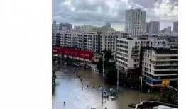 今日湛江市民爆料